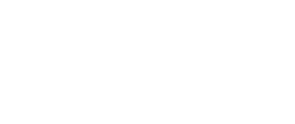 The Bitcoin Layer